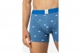 A-dam Boxer Googly Cookie - Blue